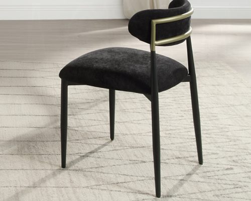 Acme Jaramillo Side Chair- Set of 2