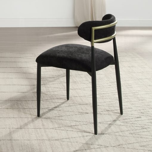 Acme Jaramillo Side Chair- Set of 2