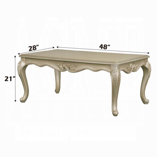 Acme Libertee Champagne Coffee Table - Image 6