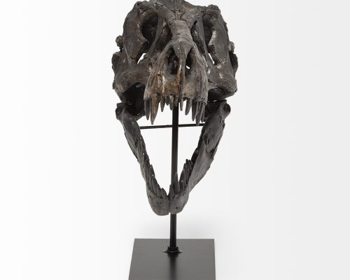 Mercana Jurassic 6L x 10W Brown Resin Tyrannosaurus Skull Replica - Image 3