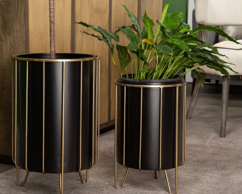 Mercana Pianta 13 x 21 Set of Two Black Metal Insert Brass Frame Plant Stands