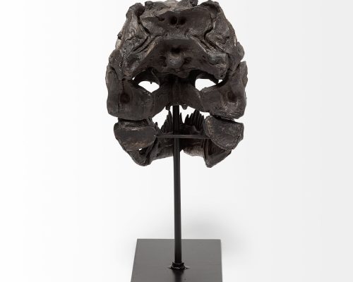 Mercana Jurassic 6L x 10W Brown Resin Tyrannosaurus Skull Replica - Image 5