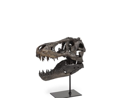 Mercana Jurassic 6L x 10W Brown Resin Tyrannosaurus Skull Replica - Image 2