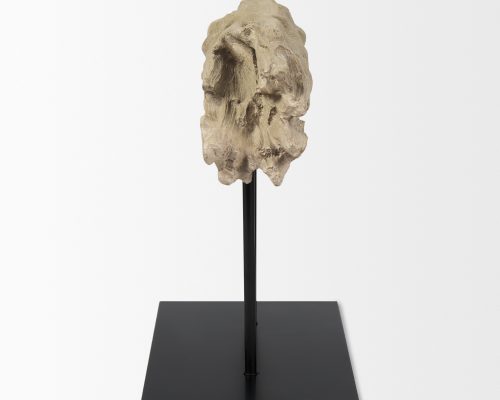 Mercana Dwell Cholla Wood Resin Decorative Object - Image 5