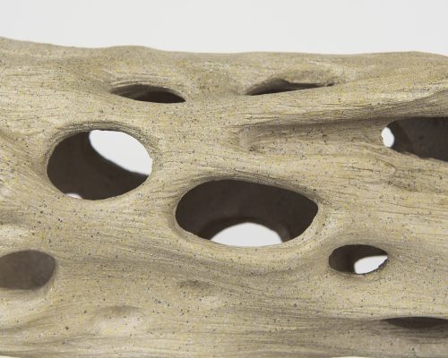 Mercana Dwell Cholla Wood Resin Decorative Object - Image 9