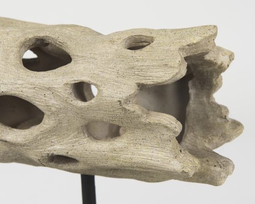 Mercana Dwell Cholla Wood Resin Decorative Object - Image 10