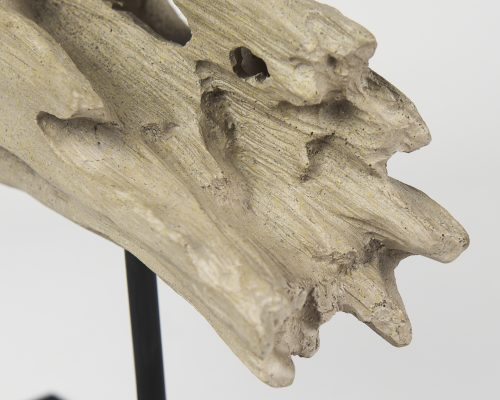 Mercana Dwell Cholla Wood Resin Decorative Object - Image 11