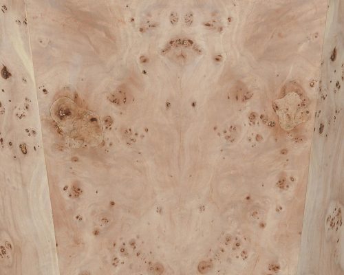 Classic Home Avena Burl Wood Square End Table Natural - Image 4