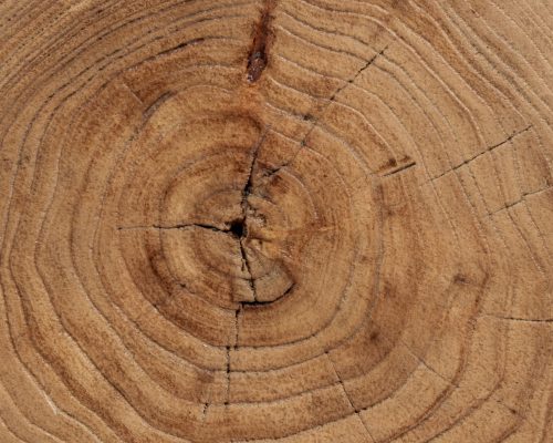 Classic Home Alina Accent Table Heartwood Natural - Image 7