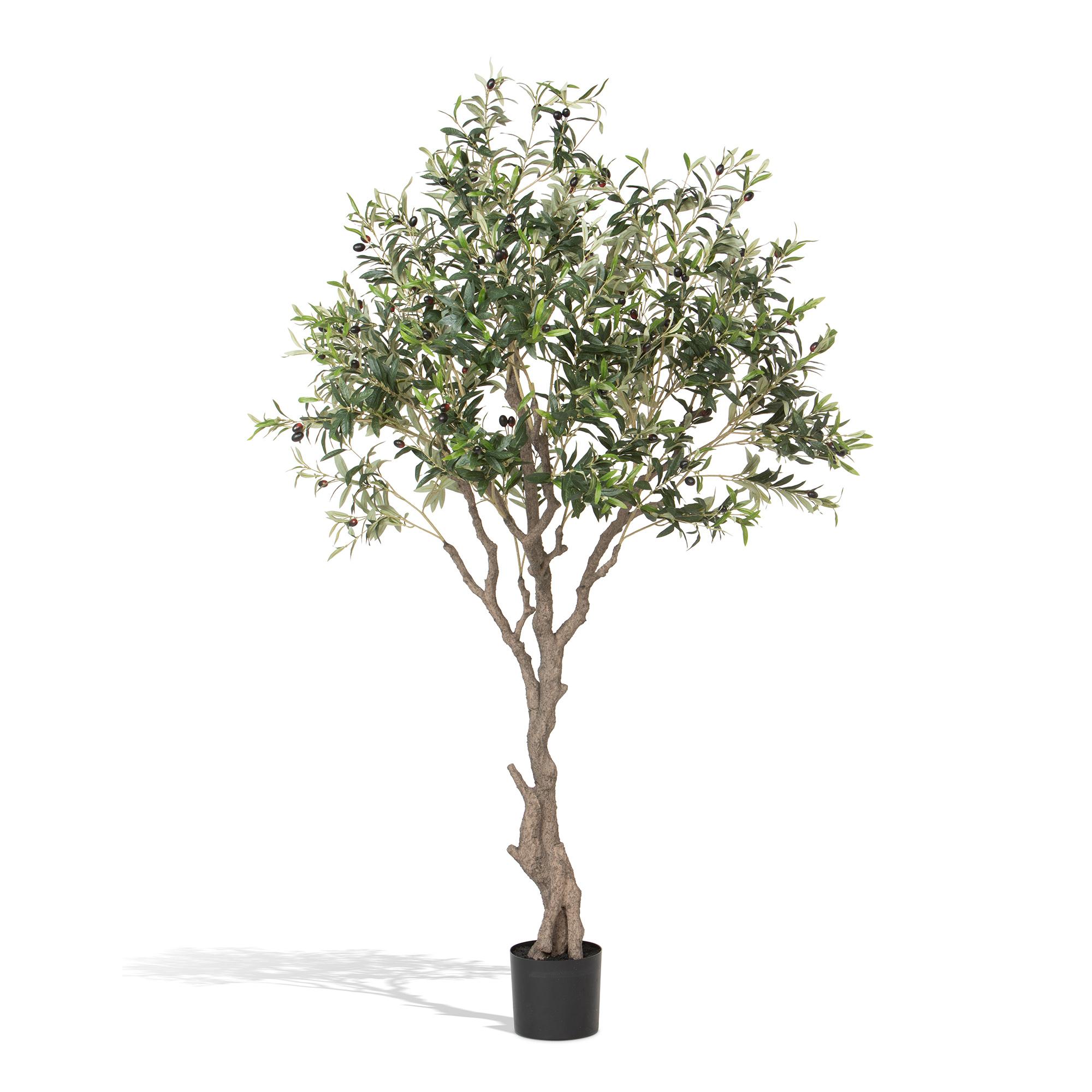 Park Hill Faux Olive Tree with Weighted Black Pot, 78"