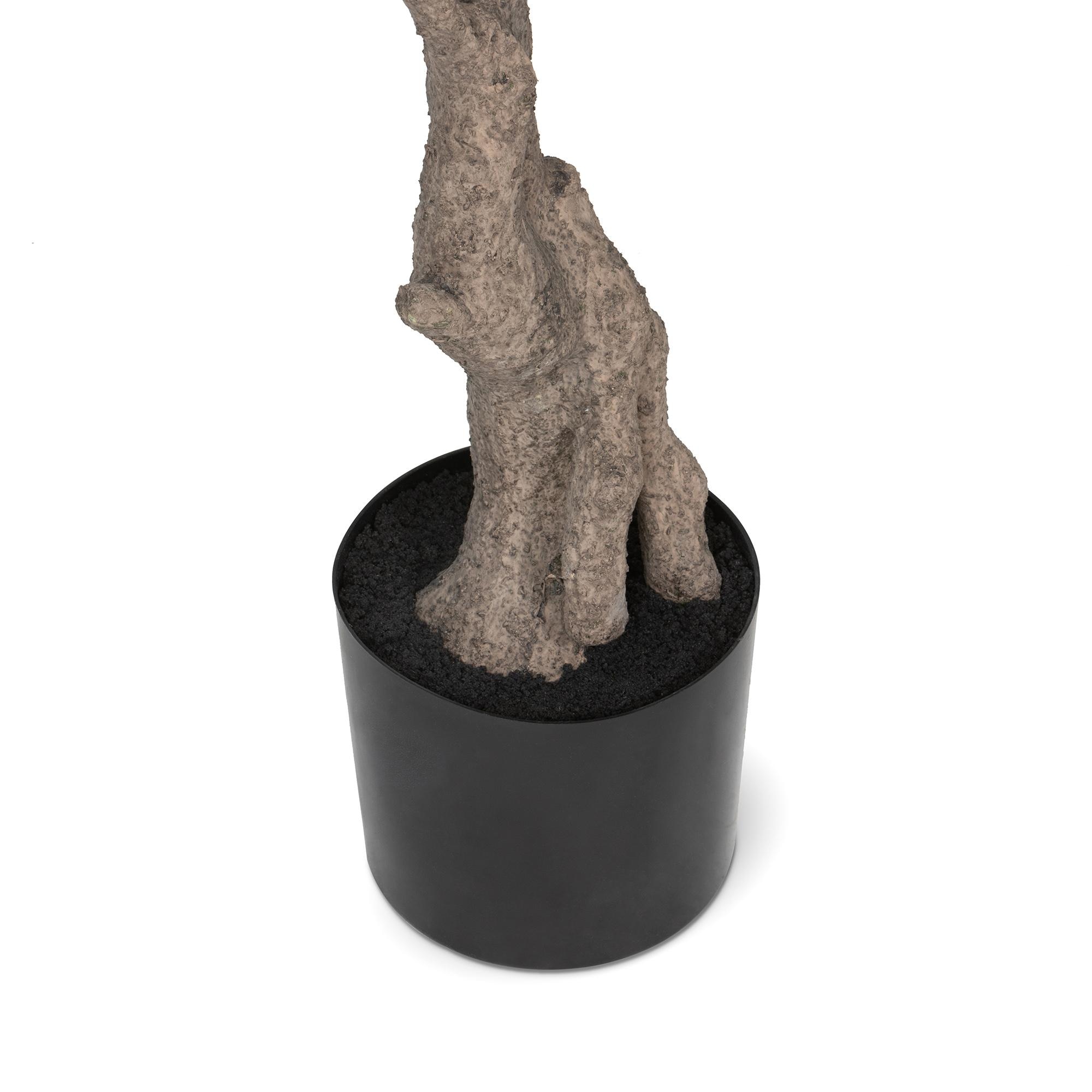 Park Hill Faux Olive Tree with Weighted Black Pot, 78" - Image 3