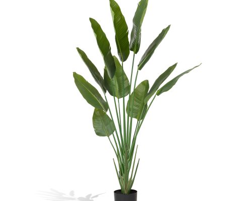 Park Hill Faux Traveler Palm with Weighted Black Pot, 70"