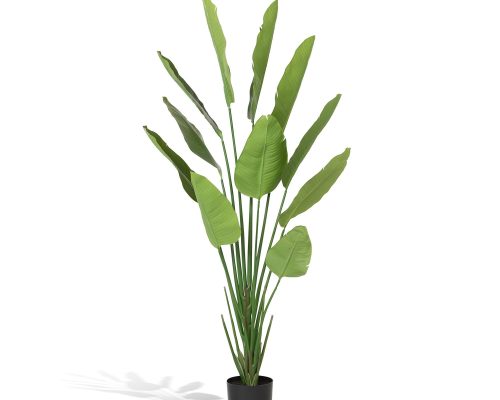 Alternative view of Park Hill Faux Traveler Palm with Weighted Black Pot, 70"
