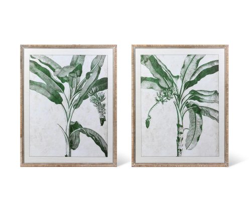 Park Hill Blissful Banana Tree Framed Wall Art, 2 Assorted Styles
