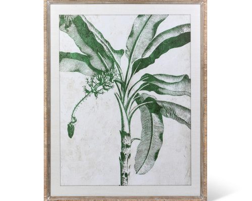 Park Hill Blissful Banana Tree Framed Wall Art, 2 Assorted Styles - Image 3