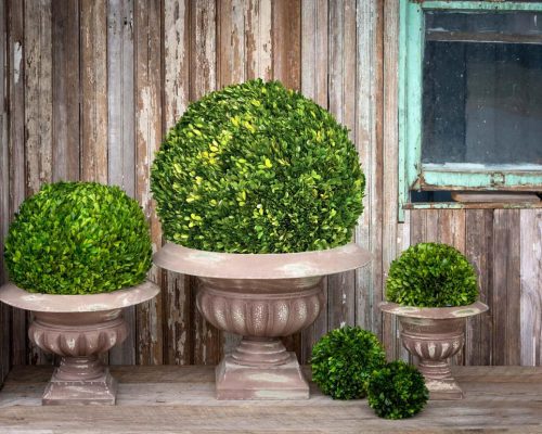 Park Hill Preserved Boxwood Ball, 21"