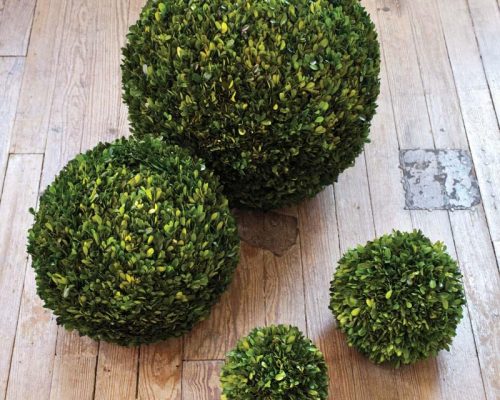 Park Hill Preserved Boxwood Ball, 21" - Image 3