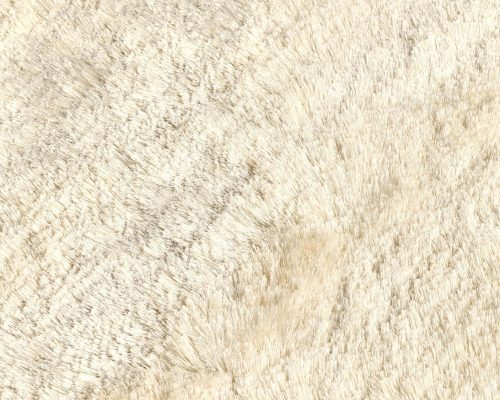 Classic Home Carter Shag Rug - Image 17